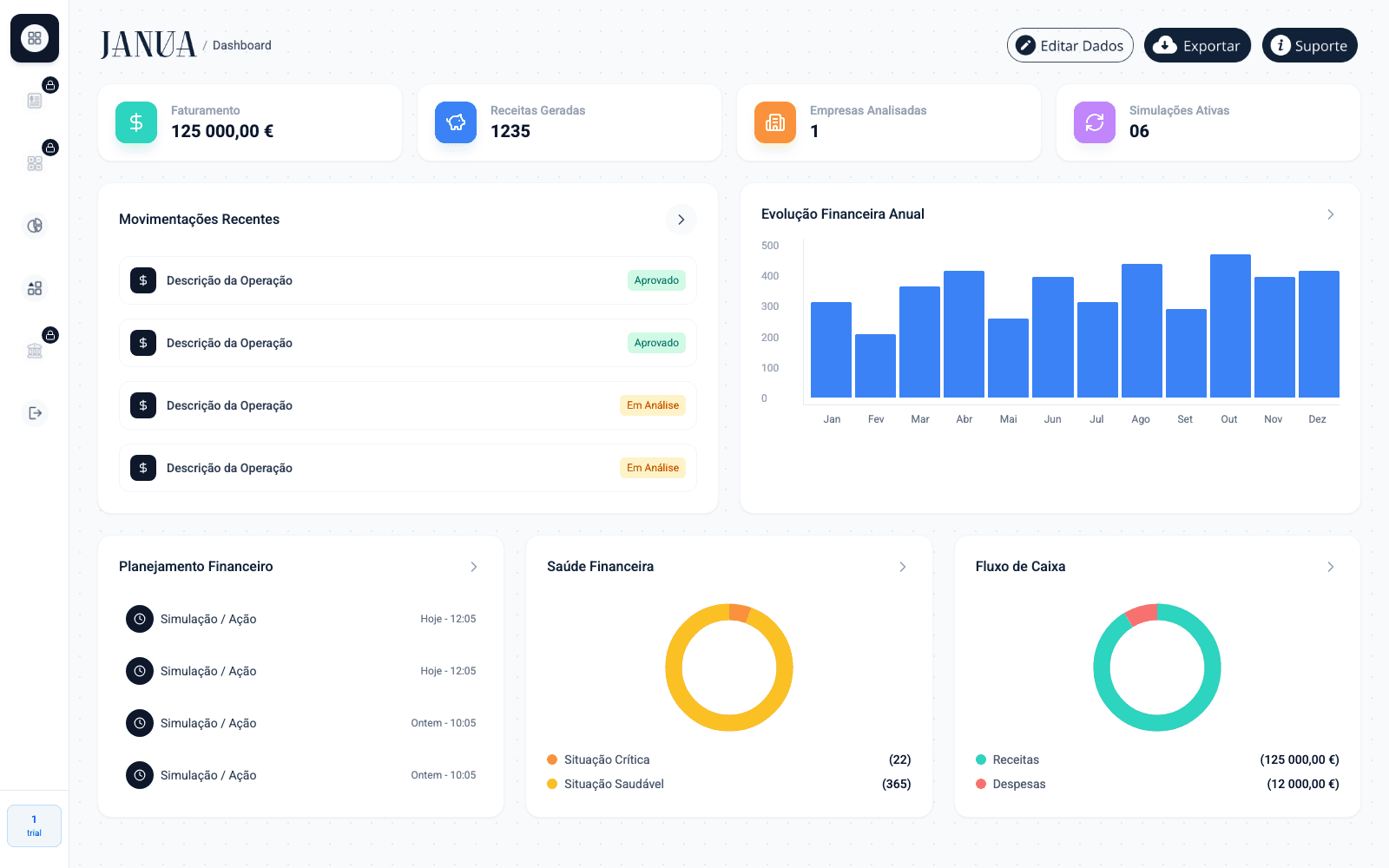 Janua Financial interface